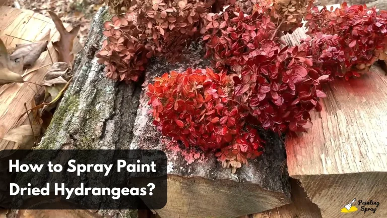 spray painting Dried Hydrangeas in red color