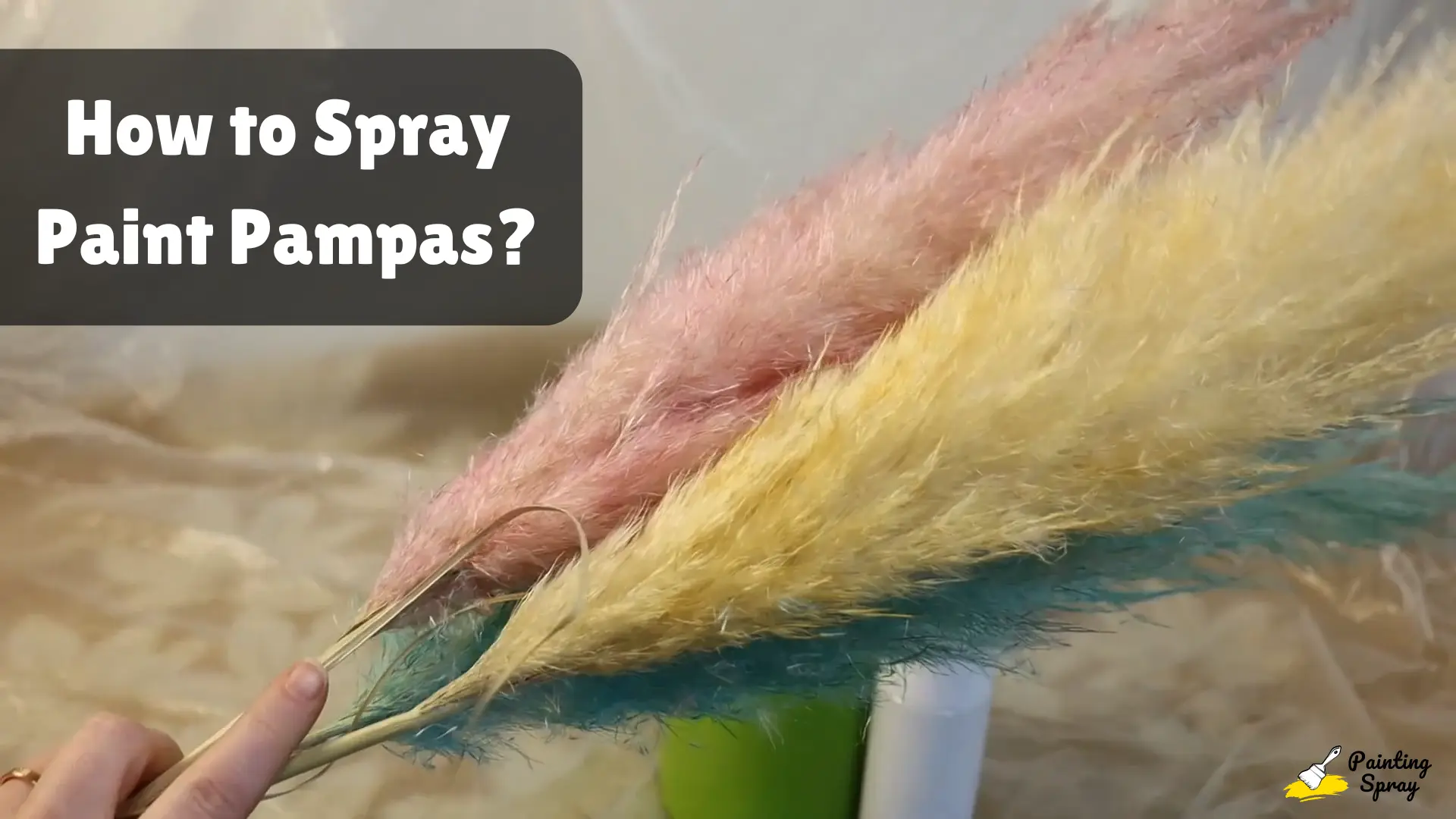 How to Spray Paint Pampas: Quick and Easy DIY Guide 1 holding yellow pink and bluesh spray painted pampas after final look