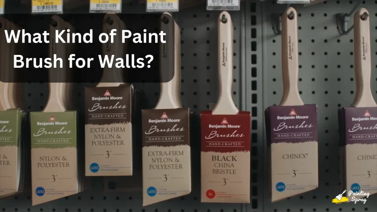 What Kind of Paint Brush for Walls? Choosing the Right Tools for a Smooth Finish 2 different kind of paint brush for wall painting